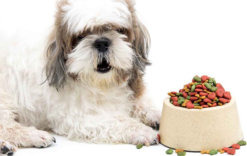 فروش آنلاین غذای سگ جوسرا