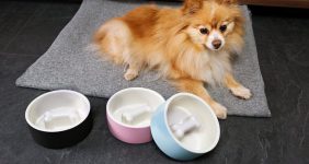 رایاپت فروشگاه آنلاین لوازم و غذای حیوانات خانگی-بهترین غذای مرطوب سگ برای نژاد اشپیتز