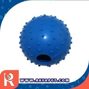 رایاپت فروشگاه آنلاین لوازم و غذای حیوانات خانگی-اسباب بازی سگ مدل Round Hardball قطر 6 سانتی متر