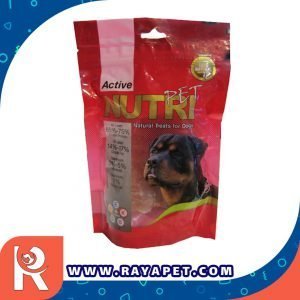 رایاپت فروشگاه آنلاین لوازم و غذای حیوانات خانگی-تشویقی سگ نوتری پت مدل N1 وزن 50 گرم