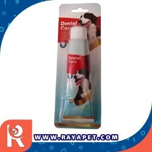 رایاپت فروشگاه آنلاین لوازم و غذای حیوانات خانگی-خمیر دندان سگ مدل dental_care وزن 95 گرم