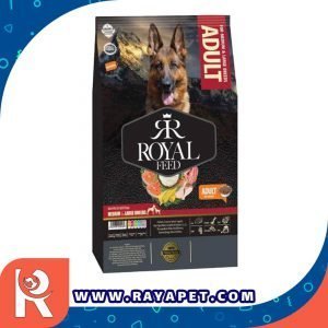 رایاپت فروشگاه آنلاین لوازم و غذای حیوانات خانگی-غذای خشک سگ رویال فید مدل MEDIUM & LARGE وزن 3 کیلو گرم