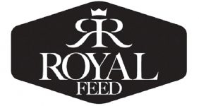 رایاپت فروشگاه آنلاین لوازم و غذای حیوانات خانگی-غذای خشک سگ رویال فید Royal Feed