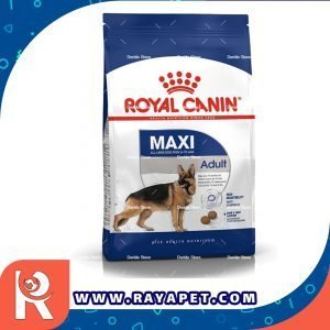 رایاپت فروشگاه آنلاین لوازم و غذای حیوانات خانگی-غذای خشک سگ رویال کنین مدل Maxi وزن 4 کیلوگرم