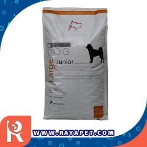 رایاپت فروشگاه آنلاین لوازم و غذای حیوانات خانگی-غذای خشک سگ سلبن مدل large junior N10