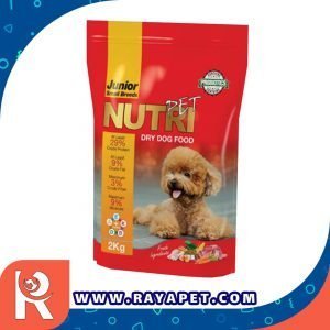 رایاپت فروشگاه آنلاین لوازم و غذای حیوانات خانگی-غذای خشک پروبیوتیک سگ نوتری پت مدل Junior Small Breeds وزن 2 کیلوگرم