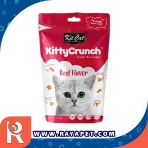 رایاپت فروشگاه آنلاین لوازم و غذای حیوانات خانگی-غذای تشویقی گربه کیت کت مدل طعم گوشت گاو