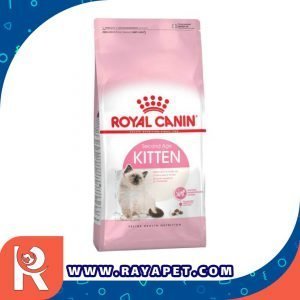 رایاپت فروشگاه آنلاین لوازم و غذای حیوانات خانگی-غذای خشک گربه رویال کنین مدل Kitten