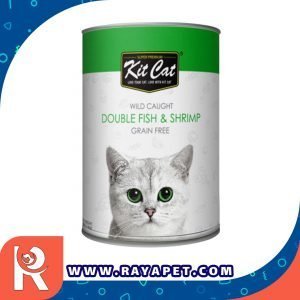 رایاپت فروشگاه آنلاین لوازم و غذای حیوانات خانگی-کنسرو غذای گربه کیت کت مدل ماهی و میگو