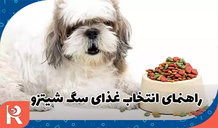 راهنمای انتخاب غذای سگ شیتزو